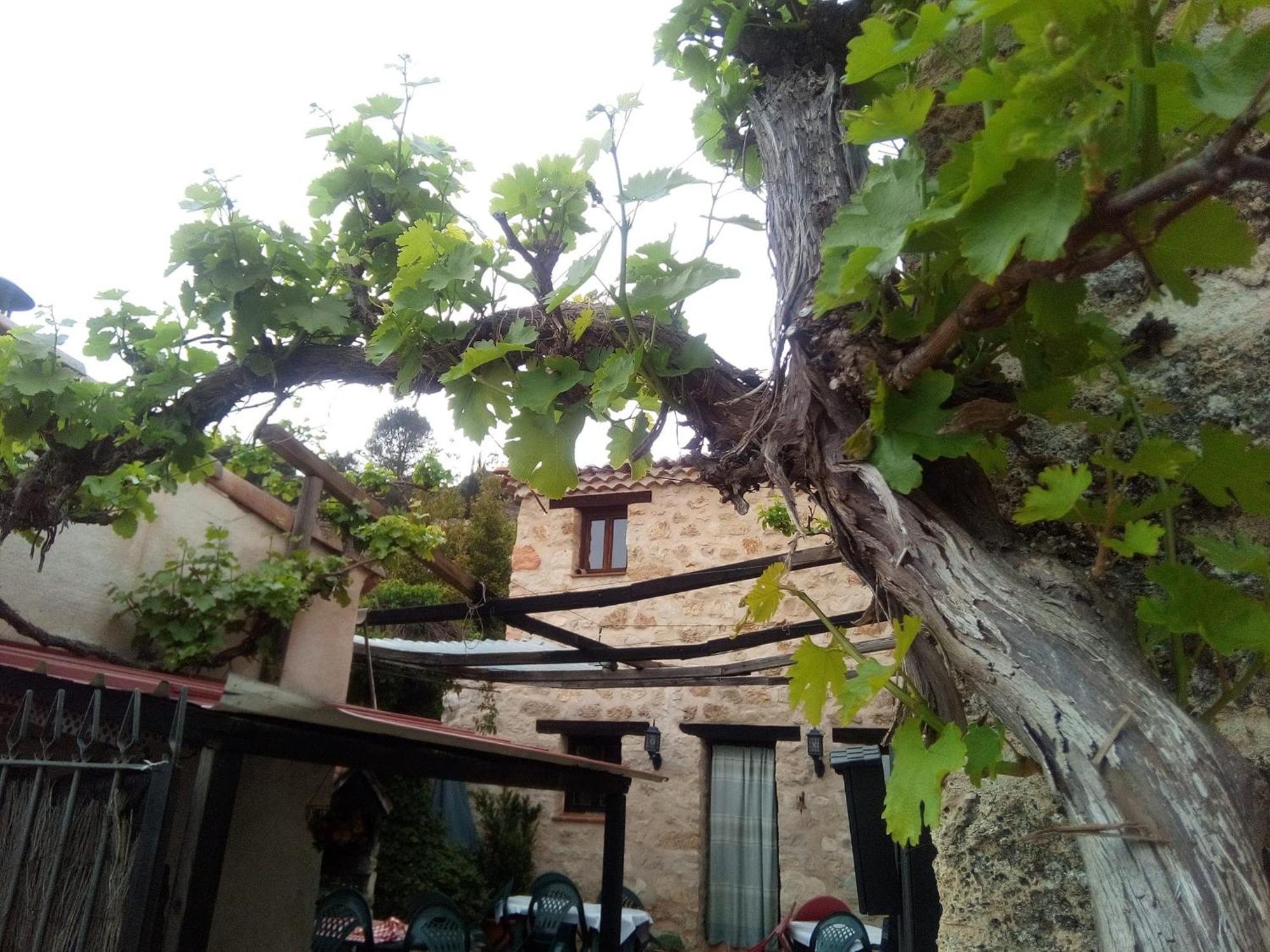 Posada Del Dulce Sueno Mojares Kültér fotó